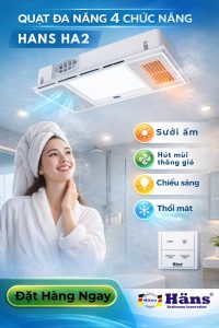 nhà vệ sinh không cửa sổ